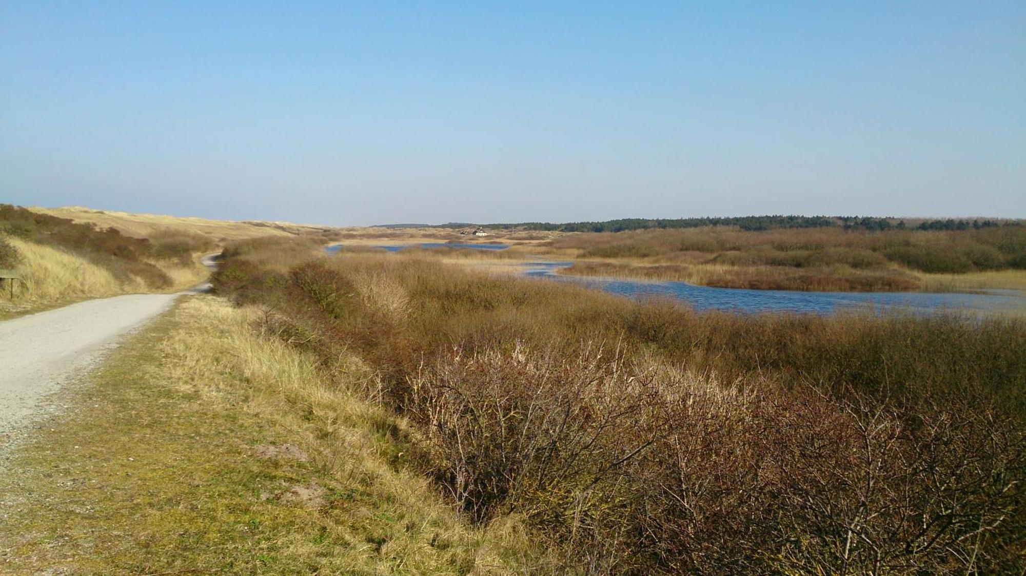 Ballumerhoeve T Pandje Exteriér fotografie