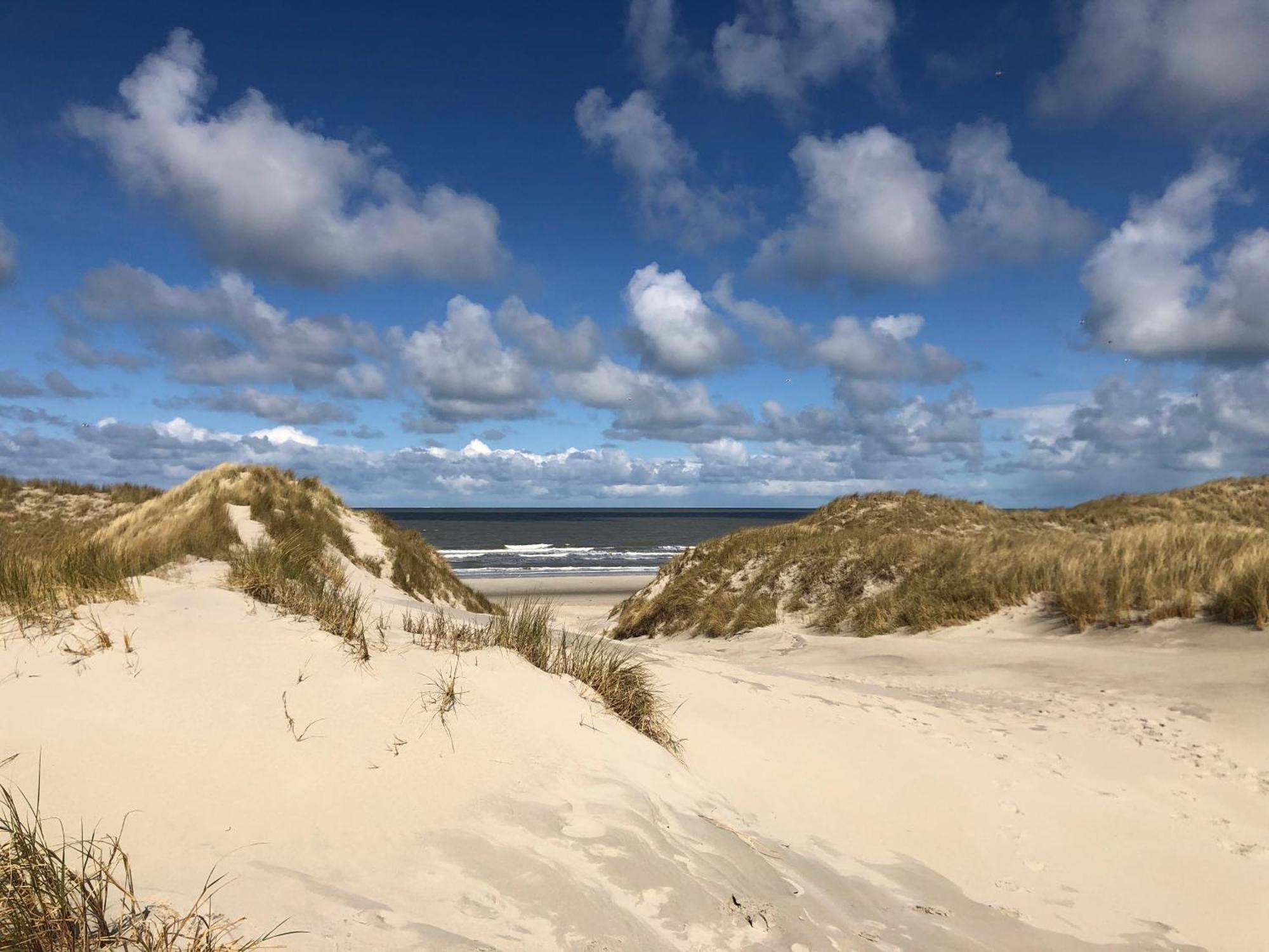 Ballumerhoeve T Pandje Exteriér fotografie